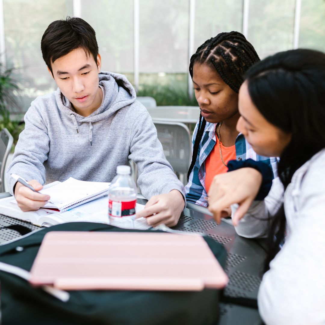 Students studying together