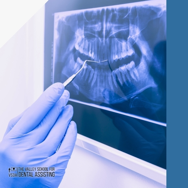 Dental board changes 2025